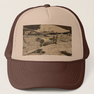 Gorra De Camionero Perro de las praderas que cae