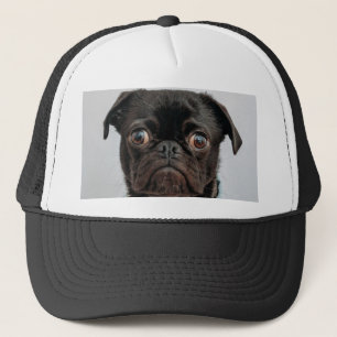 Gorra De Camionero perro de negocios
