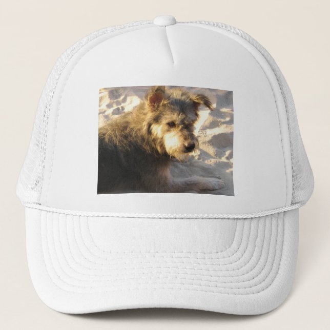 Gorra De Camionero Perro de playa tailandés (Anverso)