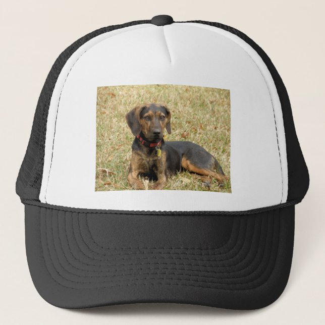 Gorra De Camionero Perro de Plott (Anverso)