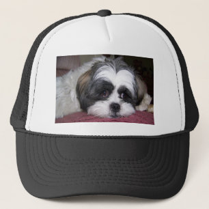 Gorra De Camionero Perro de Shih Tzu