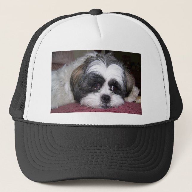 Gorra De Camionero Perro de Shih Tzu (Anverso)