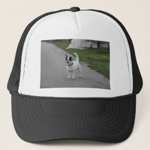 Gorra De Camionero ¡Perro de terror que se ve lindo!