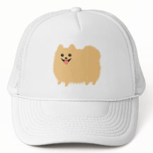 Perro dulce Fluffy Pomeranian