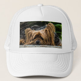 Gorra De Camionero Perro Terrier de Yorkshire