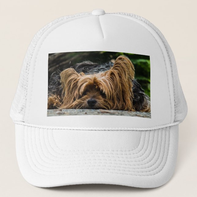 Gorra De Camionero Perro Terrier de Yorkshire (Anverso)