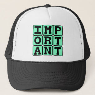 Gorra De Camionero Persona importante y especial