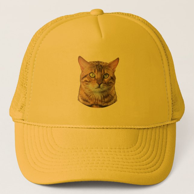 Gorra De Camionero personalidad del gato amante de los gatos (Anverso)