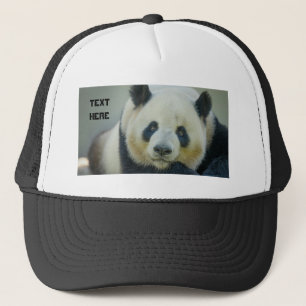 Gorra De Camionero Personalizado Cute Panda Mirando Su Propio Nombre 