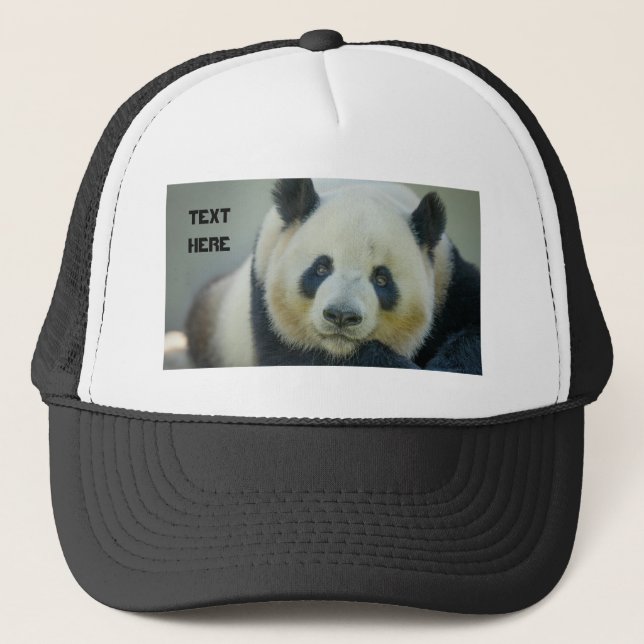 Gorra De Camionero Personalizado Cute Panda Mirando Su Propio Nombre  (Anverso)