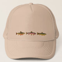 Pesca deportiva de trucha rota