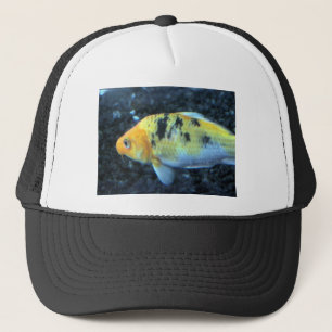 Gorra De Camionero Pescado de oro visto
