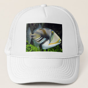 Gorra De Camionero Pescado del estado de Hawái