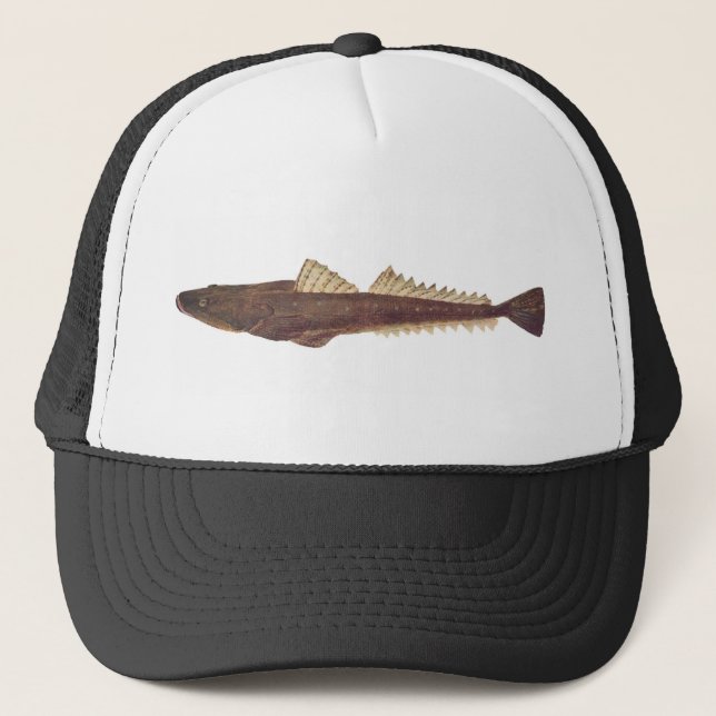 Gorra De Camionero Pescado - Dusky Flathead - Platycephalus fuscus (Anverso)