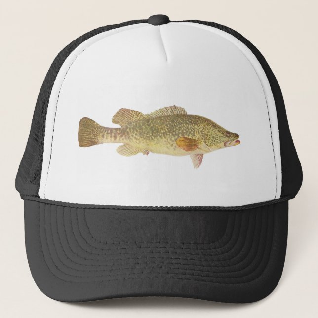 Gorra De Camionero Pescados - bacalao de Murray - macquariensis de (Anverso)