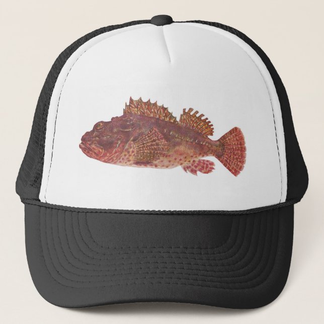 Gorra De Camionero Pescados - bacalao rojo de la roca - cardinalis (Anverso)
