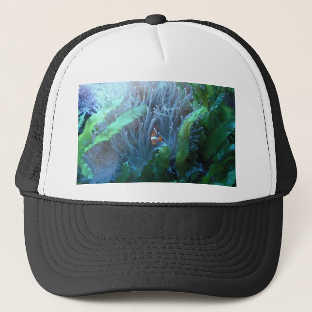 Gorra De Camionero Pescados del payaso (Anverso)