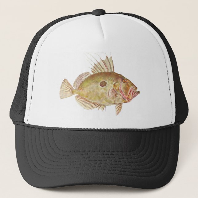 Gorra De Camionero Pescados - Dory de Juan - Zeus Faber (Anverso)