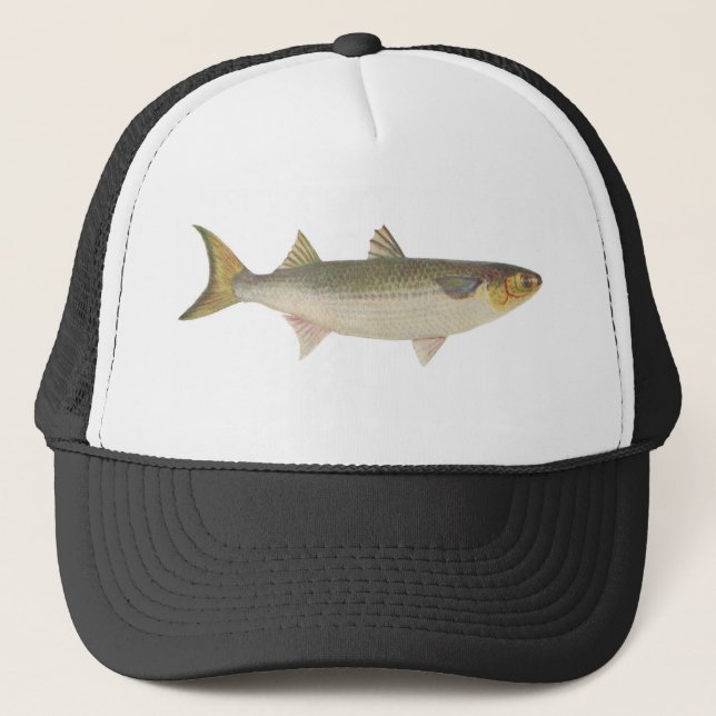 Gorra De Camionero Pescados - salmonete del mar - dobula del Mugil (Anverso)