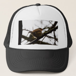 Gorra De Camionero Petirrojo inglés regordete