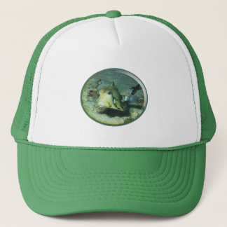 Gorra De Camionero Pez caja - ¡tan lindo! Diseño fotográfico de pez v