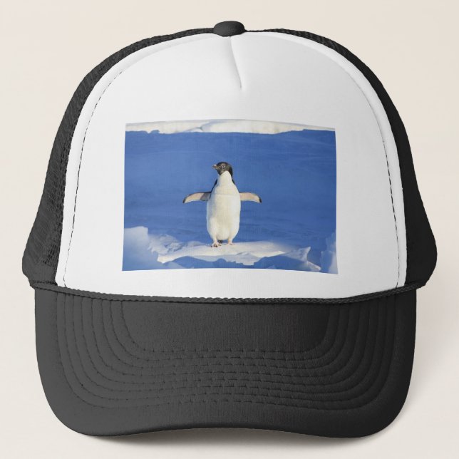 Gorra De Camionero Pingüino (Anverso)
