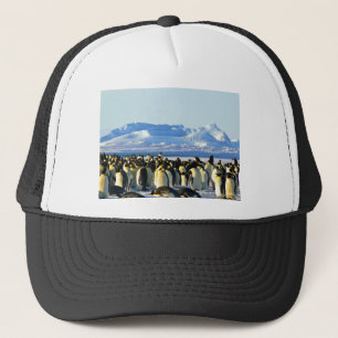 Gorra De Camionero Pingüinos emperadores