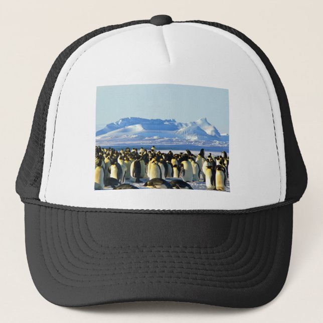 Gorra De Camionero Pingüinos emperadores (Anverso)