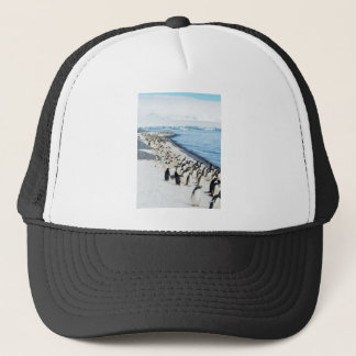 Gorra De Camionero Pingüinos en la playa