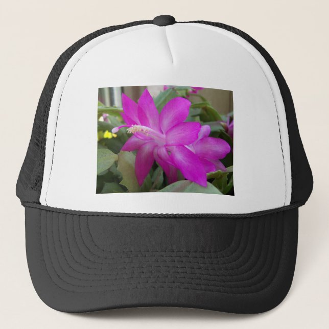 Gorra De Camionero Pink Christmas cactus bloom (Anverso)