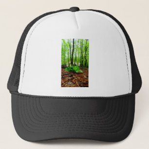 Gorra De Camionero Pink Lady Slipper Wild Orchid