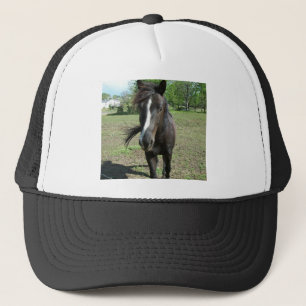 Gorra De Camionero Pintura de caballo