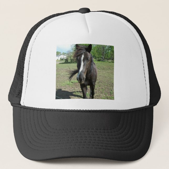 Gorra De Camionero Pintura de caballo (Anverso)