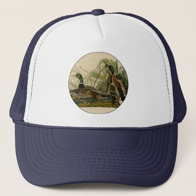 Gorra De Camionero Pintura de pájaro de Mallard Duck Audubon (Anverso)