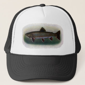 Gorra De Camionero Pintura del este de la trucha de arroyo