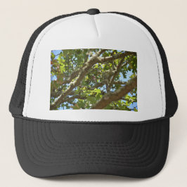 Gorra De Camionero Pinzón vulgar