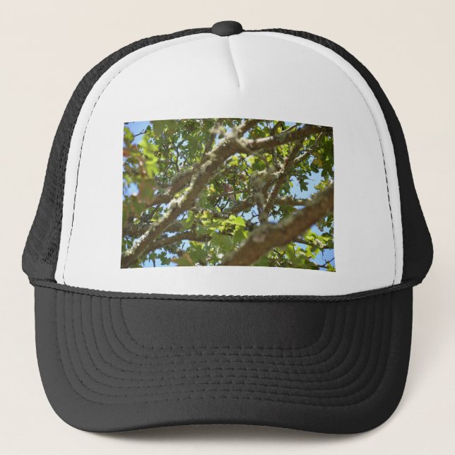 Gorra De Camionero Pinzón vulgar (Anverso)