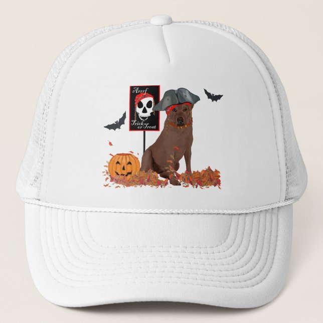 Gorra De Camionero Pirata Labrador Retriever Marrón (Anverso)