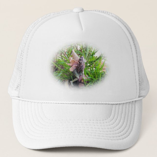 Gorra De Camionero Pixie (Anverso)