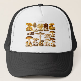 Gorra De Camionero Plantilla de las setas de la variedad de la seta