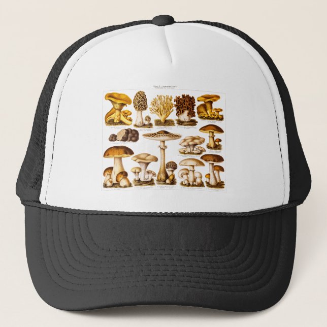 Gorra De Camionero Plantilla de las setas de la variedad de la seta (Anverso)