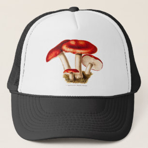 Gorra De Camionero Plantilla de las setas del rojo de la seta de los