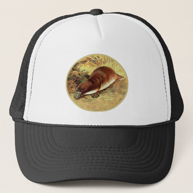 Gorra De Camionero Platypus (Anverso)
