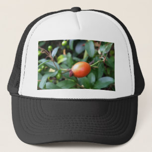 Gorra De Camionero pluma de cadera Rosa