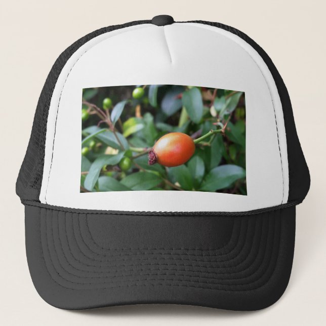Gorra De Camionero pluma de cadera Rosa (Anverso)