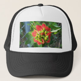 Gorra De Camionero Poinsettia silvestre