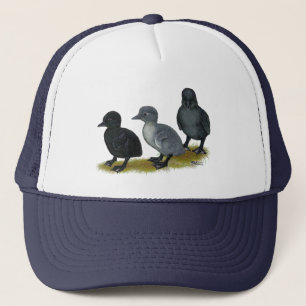 Gorra De Camionero Pollitos Corredores Azules