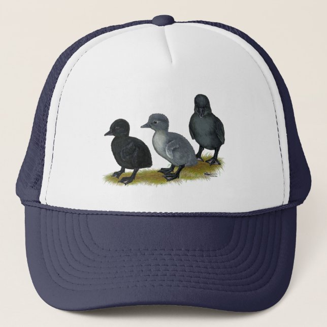 Gorra De Camionero Pollitos Corredores Azules (Anverso)