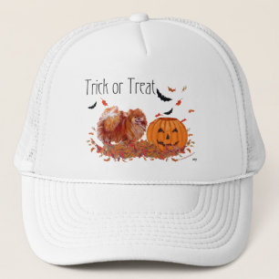 Gorra De Camionero Pomerania de Halloween