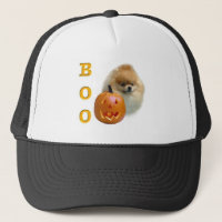 Pomeranian Boo